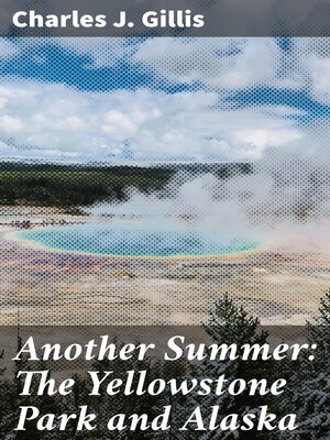 cover image of Another Summer